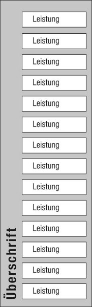 Leistungs-Tafel - 300 x 1000 mm mit 14 Titel