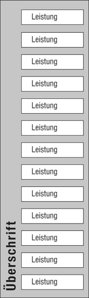 Leistungs-Tafel - 300 x 1000 mm mit 13 Titel